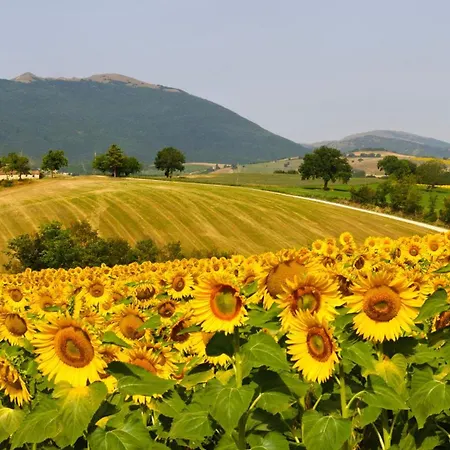 Glamping Holidays - Casa Tartufo