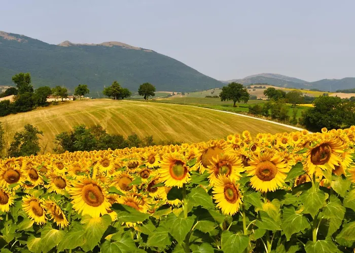 Glamping Holidays - Casa Tartufo